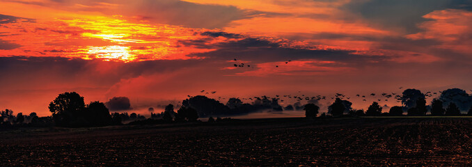 Obraz premium Autumn Sunrise Rural Landscape Panorama