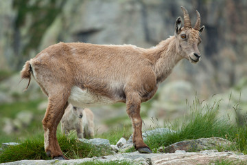 Maman et bébé