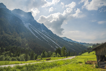 paysage alpin avec vaches et route