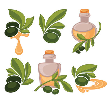 green olive and oil bottle, vector collection