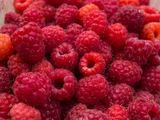 raspberries