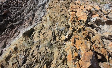 Cut of soil with different layers