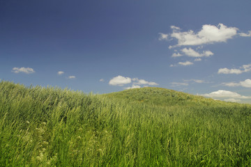 Obraz premium Hills