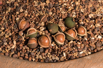 Macadamia nuts handfuls of beans.