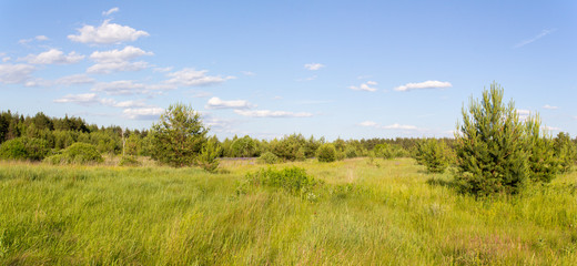 Природа России. Дорога в диком поле с цветами. © 1802185