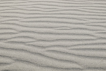 backgorund of sand dune