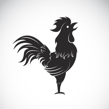 Vector of a cock on white background. Rooster, Chicken,  Easy editable layered vector illustration.