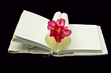 Heart Shaped Book with flower isolated on black background.