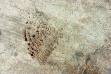 Cement floors are old and dirty.