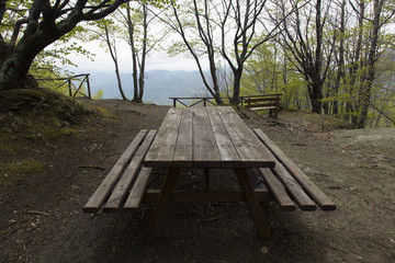 Una panchina in bosco sotto alberi 