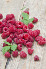 Himbeeren