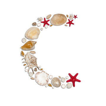 C - letter arranged from sea shells and starfishes