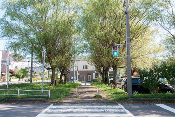 横断歩道