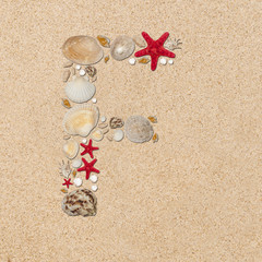 F - letter arranged from sea shells and starfishes