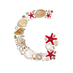 G - letter arranged from sea shells and starfishes