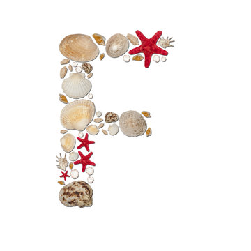 F - letter arranged from sea shells and starfishes