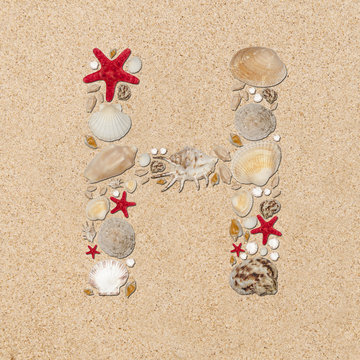 H - letter arranged from sea shells and starfishes