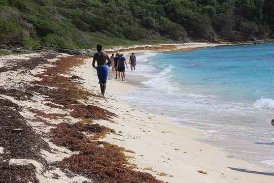 Les GRENADINES - CANOUANE