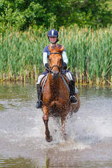 Horserider in the lake