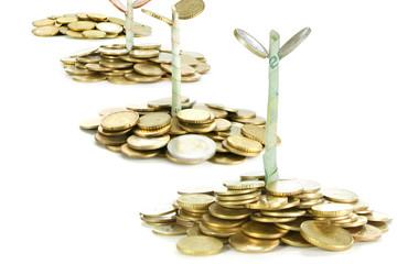 growing investment