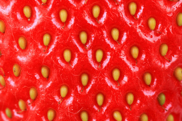 strawberry red background