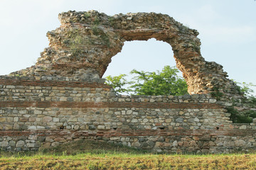 Camels in Hisar city