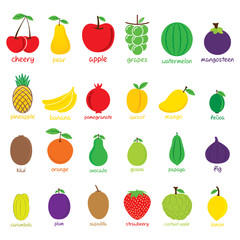 creative different fruit set design vector