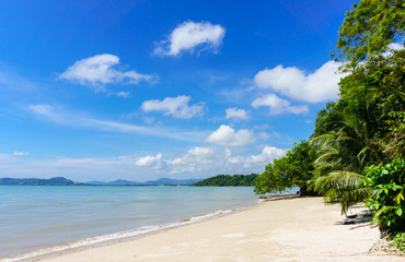 Coast of Phuket. Thailand, Tree in front view and background wit