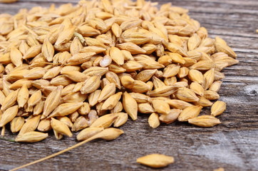 Heap of barley grain on wooden background