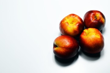pesche biologiche