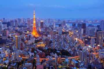 aerial night view of tokyo tower
