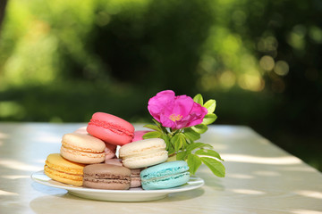 Colorful French macarons on a white plate on the nature background