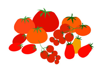 Tomatoes flat illustration on white background