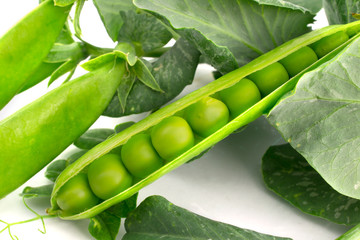 green pea