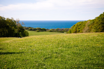 Pelouse verte et mer bleu 
