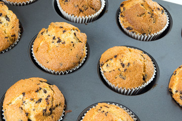 delicious muffins / delicious muffins in a baking dish