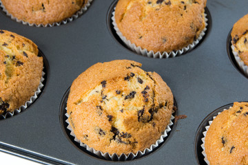 delicious muffins / delicious muffins in a baking dish