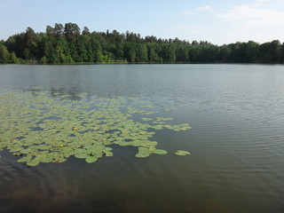 Озеро солнечным летним днем