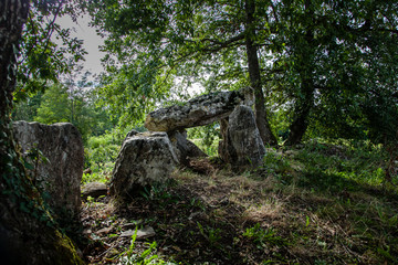 Dolmen in the forest