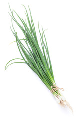 Fresh garden herbs. Spring onion