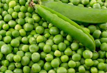 green pea