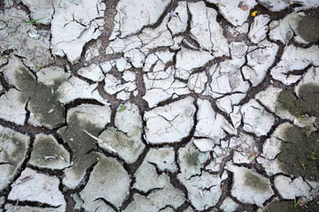 Dry earth. Picture can be used as a background