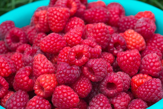 Strawberries / Image of a bunch of fresh strawberries