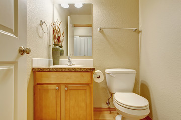 Fototapeta na wymiar classic half bathroom with mirror.