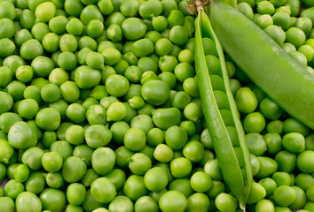 green pea