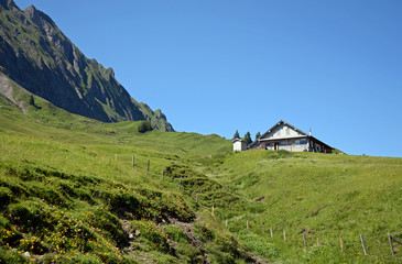 Fototapeta na wymiar Alp auf dem Pragelpass, Kanton Schwyz