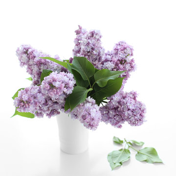 Lilac in white vase