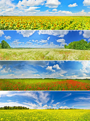 Set of flower fields in summer countryside