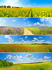 Set of flower fields