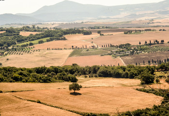 Naklejka premium vista scorcio colline pienza campagnia